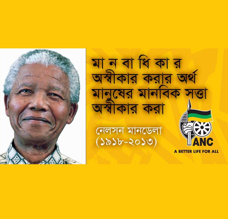 ধান ও ধানের গবেষণা